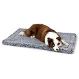 PELZIN Stoutwool Indestructible Dog Bed - Fluffy Chew Proof Dog Crate Pad - Tough Kennel Pad for Aggressive Chewers - Washable, Ideal for Large Breeds & Fits 36-Inch Crate - 35"x22", Charcoal