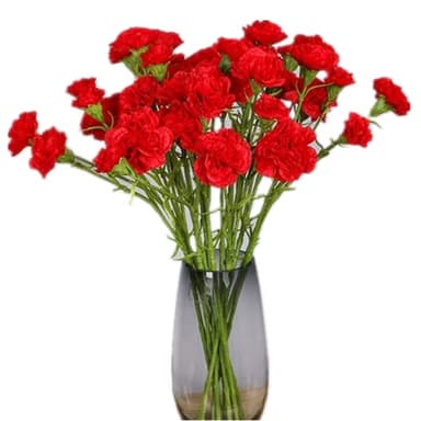 Corkwaw 40 Heads Artificial Carnations,Silk Hydrangea Bouquet Decoration Plastic Plant Suitable for Photo Props Family Party Home Decoration Bridal Wedding Bouquet Decoration (Red)