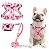 PUPTECK No Pull Dog Harness and Leash Set Reflective No Choke Step in Puppy Halter for XS Small and Medium Sized Dogs, Pink, Printed Fabric, M