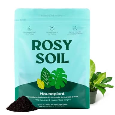 Rosy Soil Indoor Potting Soil for House Plants - Organic Potting Soil Mix for Indoor Plants - Enriched w/Root-Boosting Biochar for Foliage Plants, Flowers, Herbs - Peat Free, Less Prone to Gnats - 4qt