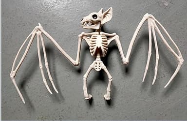 Halloween Animal Skeleton Decor Halloween Decorative Horrible Cow Bat Spider Rat Bones for Decoration Party Haunted House Props (Bat-30 * 17 * 5CM, One Size)