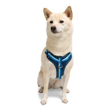 YOULY by Petco Comfort Neoprene Dog Harness Blue Medium