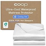 Coop Home Goods Ultra-Cool Waterproof Mattress Protector, Queen, Cooling Mattress Protector, Machine Washable Cooling Bed Cover, Whisper Quiet Waterproof Bed Cover, Queen (60x80)