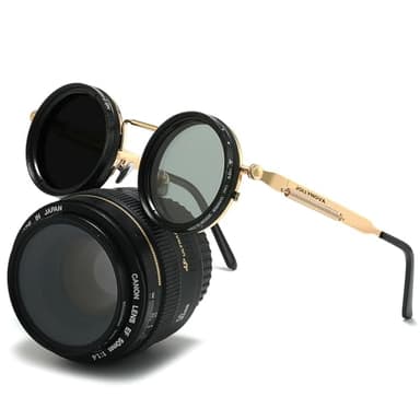 JOLLYNOVA Adjustable Tint Sunglasses, 1-9 Gears Steampunk Retro Metal Round Polarized Glasses with ND Filter Lenses (Gold)