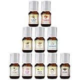 Good Essential Sweet Scents Fragrance Oil Set - 10 Pack Essential Oils for Halloween, Diffuser & Candle Making - Cotton Candy Essential Oil, Marshmallow Essential Oils & More - Essential Oils Set