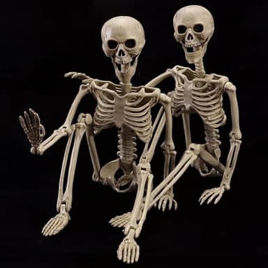 wymulot 2-Pack 40" Pose-N-Stay Halloween Skeletons, Life-Size Full Body Realistic Posable Skeleton with Movable Joints, Spooky Haunted House Decor for Outdoor Yard, Patio & Front Porch