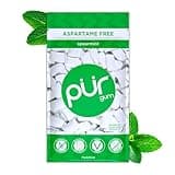 PUR Gum | Aspartame Free Chewing Gum | 100% Xylitol | Natural Spearmint Flavored Gum, 55 Pieces (Pack of 1)