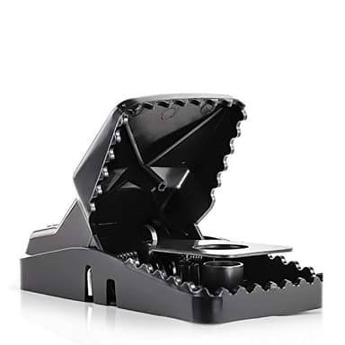 eXuby Large Powerful Rat Traps - Kills Instantly with Powerful Steel Spring - Setup in Seconds - Wash & Reuse Over & Over - Hands Free Disposal - Rat Control Without Harmful Poisons (4)