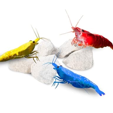 JOR Calcium Rocks for Shrimps, Enhances Pet Color, Provides Hideout, Beneficial for Shedding, and Breeding Spot, 1.7 oz. (50g)