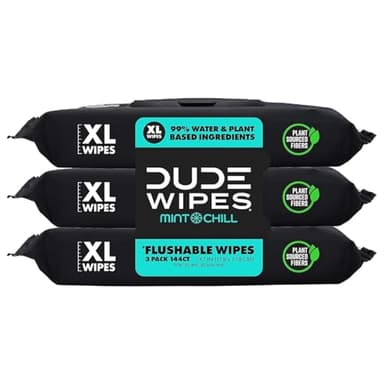DUDE Wipes Mint Chill Flushable Wipes - Extra-Large Adult Wet Wipes - 3 Pack (144 Count) - Infused with Tea Tree Oil, Vitamin E, and Aloe - Septic and Sewer Safe