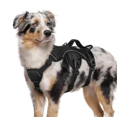 rabbitgoo Escape Proof Dog Harness, Soft Padded Full Body Pet Harness, Reflective Adjustable No Pull Vest with Lift Handle and Leash Clip for Large Dogs Walking Hiking Training, M, Black