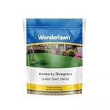 BARENBRUG USA TVKBG7 TV 7 lb Kentucky Bluegrass Seed