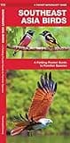 Southeast Asia Birds: A Folding Pocket Guide to Familiar Species (Nature Observation International)