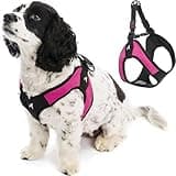 Gooby Escape Free Easy Fit Harness - Hot Pink, Medium - No Pull Step-in Patented Small Dog Harness with Quick Release Buckle - Perfect On The Go No Pull Harness for Small Dogs or Medium Dog Harness