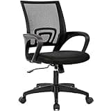 Home Office Chair Ergonomic Desk Chair Mesh Computer Chair with Lumbar Support Armrest Executive Rolling Swivel Adjustable Mid Back Task Chair for Women Adults, Black