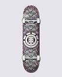 Element Paisel Complete Skateboard