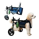 Royal Dog Small Dog Wheelchair for Back Legs, Wheelchair for Dogs with Reflective Strips, Breathable Mesh Fabric, Comfortable & Adjustable Design (Medium)