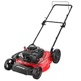 PowerSmart 21 in. Gas Lawn Mower, 125cc Briggs and Stratton E300 Engine, 2-in-1 Mulching and Side Discharge