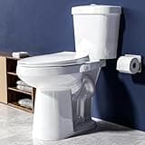 Miuara Tall Toilet 19 Inch - ADA High Toilet for Seniors, Comfort Bowl Height, Dual Flush 1.1/1.6 GPF, Two Piece, Floor Mounted, 12” Rough In,Glossy White, for Small Bathroom