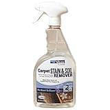 Shaw R2X Carpet Stain & Soil Remover 32 Ounces Spray
