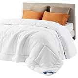 Bedsure Comforter Duvet Insert - Quilted Comforters Queen Size, All Season Duvet, GentleSoft™ Down Alternative Bedding, with 8 Tabs, Gifts for Women/Men, White, Queen 88 x 88 Inches