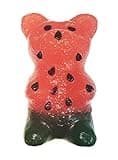 The Gummy Bear Guy (TM) | World Famous Gummy Bears (TM) | Watermelon World's Largest Gummy Bear (TM)