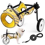 Lokshun Dog Wheelchair for Back Legs Large, Upgraded Wheelchair for Medium & Large Dogs, Adjustable Dogs Carts with Wheels for Disabled Hind Legs, All-Terrain Tires Dog Wheels for Back Legs (XL)