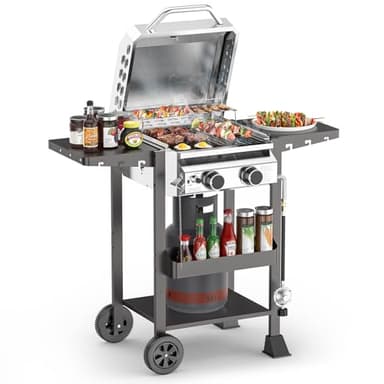 2-Burner Gas Grill, Stainless Steel 160,00 BTU BBQ Grill with Foldable Side Shelves & Storage Shelf – Ideal Propane Grill for Outdoor Barbecues, Patio Gatherings, and Camping