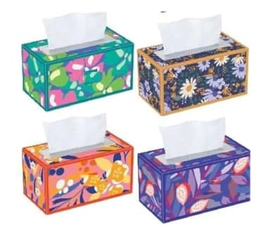 Trusted Care Facial Tissues, 4 Big Boxes, 230 Tissues Per Box - 2-Ply, Soft & Absorbent (920 Total), Packaging May Vary