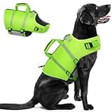 Queenmore Dog Life Jacket,Dog Life Vest for Swimming,XL Dog Swim Vest,Lightweigth Adjustable Reflective Puppy Pet Float Life Preserver Vest with Back Zip,Rescue Handle,Metal Hook (Green XL)