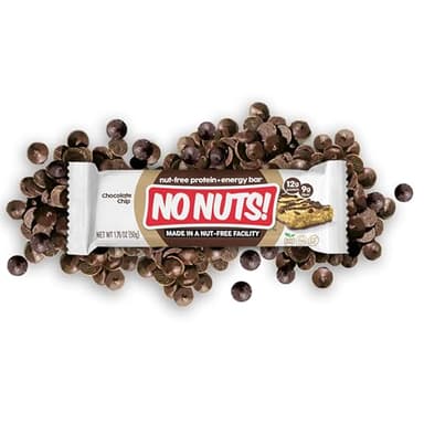 No Nuts! Chocolate Chip Protein Bars – 100% Nut-Free & School-Safe | 12g Plant Protein, Vegan, Gluten-Free, Non-GMO, Organic, Kosher | 12 Count