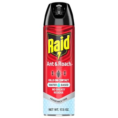Raid Ant & Roach Aerosol Bug Spray, Water-Based Formula Insecticide With No Greasy Residue, Kills On Contact, 17.5 oz