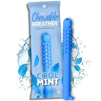 Smokeless Alternative | Before and After Quitting | Oral Fixation Relief Quit Smoking Aid Stop Vaping Aid | Tobacco-Free Nicotine-Free Non-Electric Travel Friendly (ICE Mint, 1 Pack)