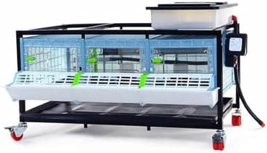 Hatching Time 9.5" Chick Brooders – Stackable with Automatic Heating, Modular Design, Easy to Clean, Ideal for Quail, Pheasant, and Baby Chicks (1 Layer)