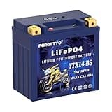 YTX14-BS Lithium Motorcycle Battery, ATV Battery 12V 8AH 600CCA Compatible with Yamaha scooter snowmobile Jet Ski, Scooter, PWC & More
