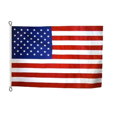 Annin Flagmakers (2750) Tough-Tex American Flag, Made in USA, 8 x 12 Feet, Polyester