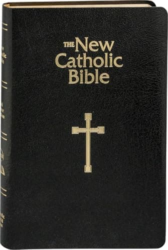 Ncb Gift & Award Bible [Imitation Leather] Catholic Book Publishing Corp