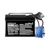Schumacher Electric 12V Battery for Ride on Toys - TB4 12V 12 Amp Hours with Replaceable Fuse - Rechargeable 12V Ride On Replacement Battery for Peg Perego Vehicles - Safe & Easy to Use