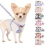 SlowTon No Pull Dog Harness with Leash - Soft Lightweight Floral Pattern Puppy Harness, Adjustable Pet Harness for Small Medium Dogs Doggie (Purple XXS)