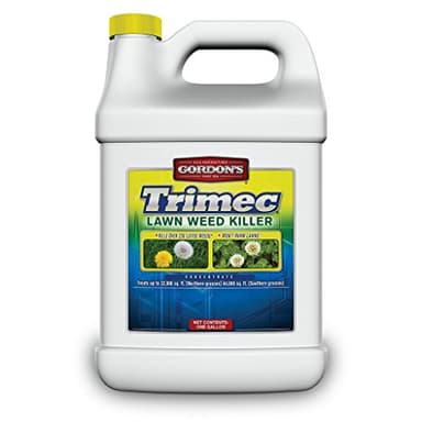 GORDON'S Trimec® Lawn Weed Killer, 1 Gallon - 792000