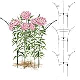 4 Pack Peony Cages and Supports Cages 13" D x 22.8" H Sturdy Metal Support Frame for Peonies & Roses Natural Bouquet Shape Garden Stakes for Outdoor Plants Flowers Ornamental