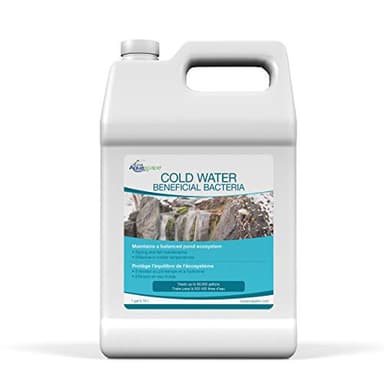 Aquascape Cold Water Beneficial Bacteria for Ponds, Clearer Water in Low Temperatures, Safe for Fish and Plants, 1-Gallon Bottle, 96021