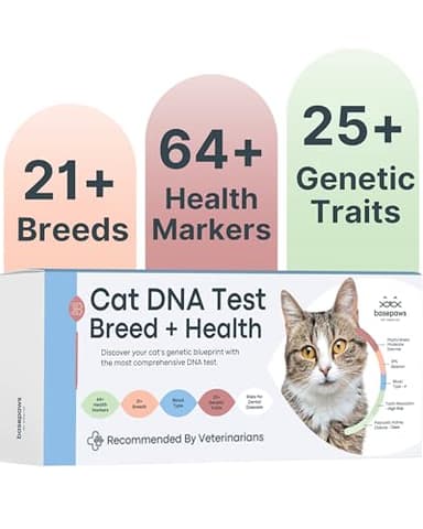 Basepaws Cat DNA Test Kit - Comprehensive Breed, Health and Dental Analysis Across 114 Traits for Accurate and Easy-to-Use Genetic Insights