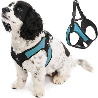 Gooby - Escape Free Easy Fit Harness, Small Dog Step-in Harness for Dogs That Like to Escape Their Harness, Turquoise, Small
