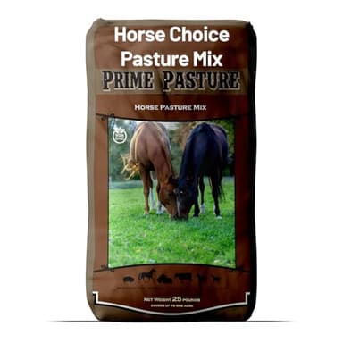 Outsidepride Horse Choice Pasture & Livestock Grass Seed Mix - 25 Lbs Perennial, Drought Tolerant, Cold Hardy, & High Yield Lawn Grass Seeds for Grazing, Hay, Silage, & Greenchop