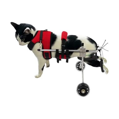 GDIFLS Cat Wheelchair for Back Legs - Adjustable Pet Mobility Aid with 2 Wheels for Disabled & Elderly Cats, Lightweight Support for Arthritis, Injury (Medium, Fits Cats up to 15 lbs)