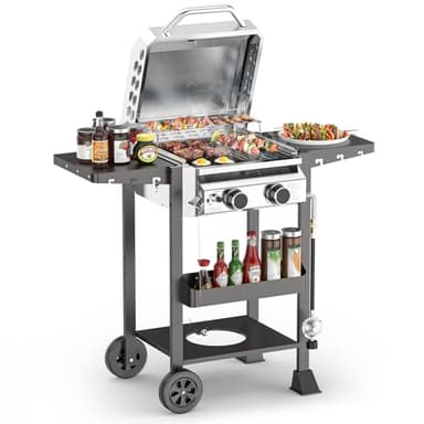 COWSAR 2-Burner Propane Gas Grill with Folding Side Tables,Stainless Steel 16,000 BTU BBQ Grill,Outdoor Grill for Barbecue,Patio,Camping