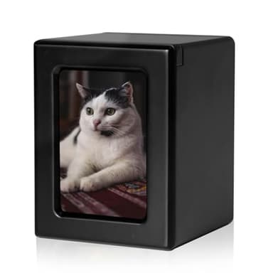 PCS Pet Urns for Cats, Cat Photo Urn, Cat Urns for Ashes, Pet Cremation Box Black-Small