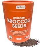 Broccoli Sprouting & Microgreens Seeds -1lb - Organic, Non-GMO, Heirloom Sprout Seeds Kit, Food Grade Colorful Container with Lid for Easier Scooping & Keeping Fresher.