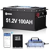 DC HOUSE 48V 100Ah Lithium Golf Cart Battery, Sturdy Metal Case Lifepo4 Battery with 48V 18A Charger, Bluetooth Mobile APP &Touch LCD Monitor, Built-in Smart 200A BMS, Peak Current 1000A Max